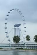 Singapore Flyer Free