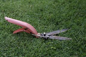 Cutting Grass Scissors