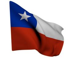 colored chili flag unfurled in the wind