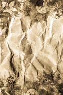 Close-up of the beautiful old, vintage paper of different shades