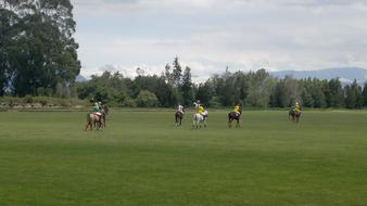 Court Polo Sky