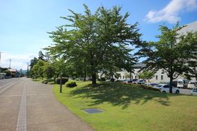 Yonezawa In The Early Summer