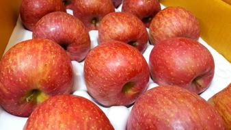 Apple Fruit Red
