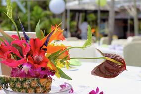 Flowers Tropical