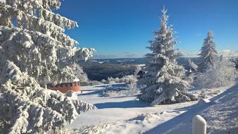 Snow Church Landscape