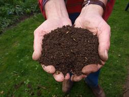Fresh Compost Hands