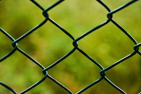 wire mesh fencing at green background
