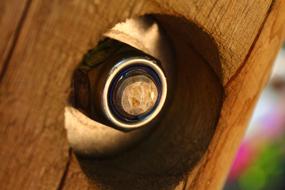 Screw Brown Scaffold