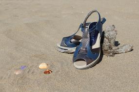 Shoes Ladies Beach