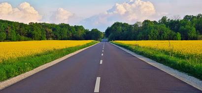 road leading into the woods