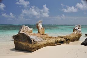 Beach Wooden Sea