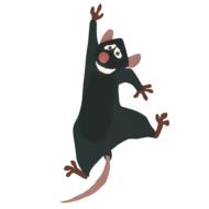 mouse as a rodent cute