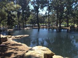 Pond California