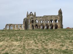 Whitby Abbey