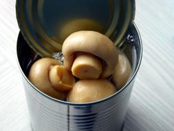 open can of mushrooms
