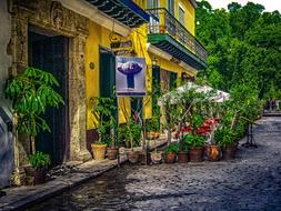historic street decorated with flowers