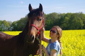 Horse Meadow