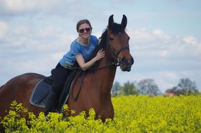 Friends Horse Reiter