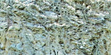 rocks with holes and moss