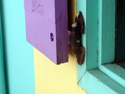 closeup photo of painted wood window shutter