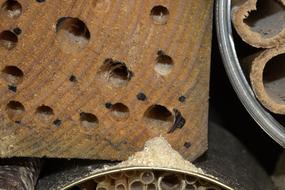 wooden wall with holes