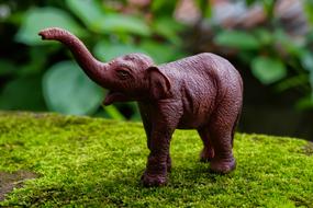 Jungle Elephant Pachyderm