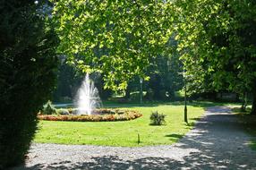 In The Kurpark Fountain Pond