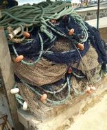 Fishing Network