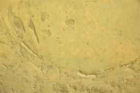 Material Quality Background gold