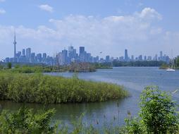 green grass landscape with city to water