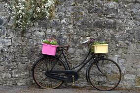 Bike Wheel Flowers