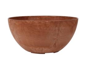 flowerpot pot potted plant