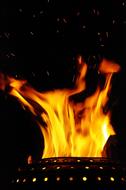Fire Flame Wood Log