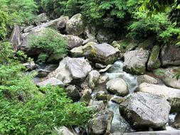 Rock Upstream