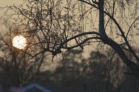 Sun Setting view