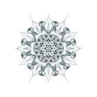 mandala isolated meditation force