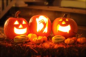 Pumpkin Halloween Autumn