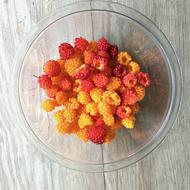 sweet colored berries in plate