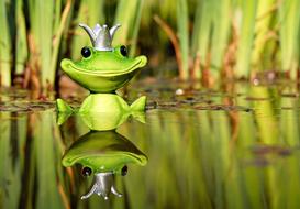 green Frog Figure King on pond