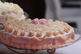 cream pink cake