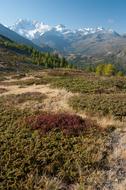 Simplon Valais Switzerland