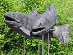 Carp Fishes Sculpture