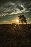 Sunrise Sky