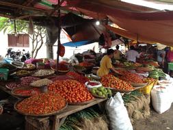 tropical delicious fruits