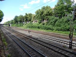 Railway System Trees Rails