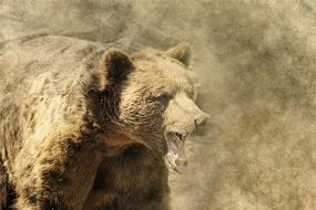 bear animal mouth art vintage