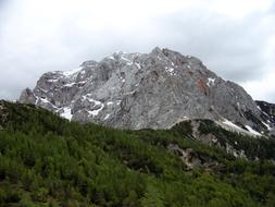high mountain in the background of the forest