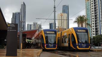 Goldcoast Tram Gold