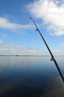 Fishing Rod Bait Fish