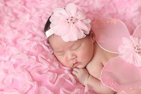 Baby Pink Little
